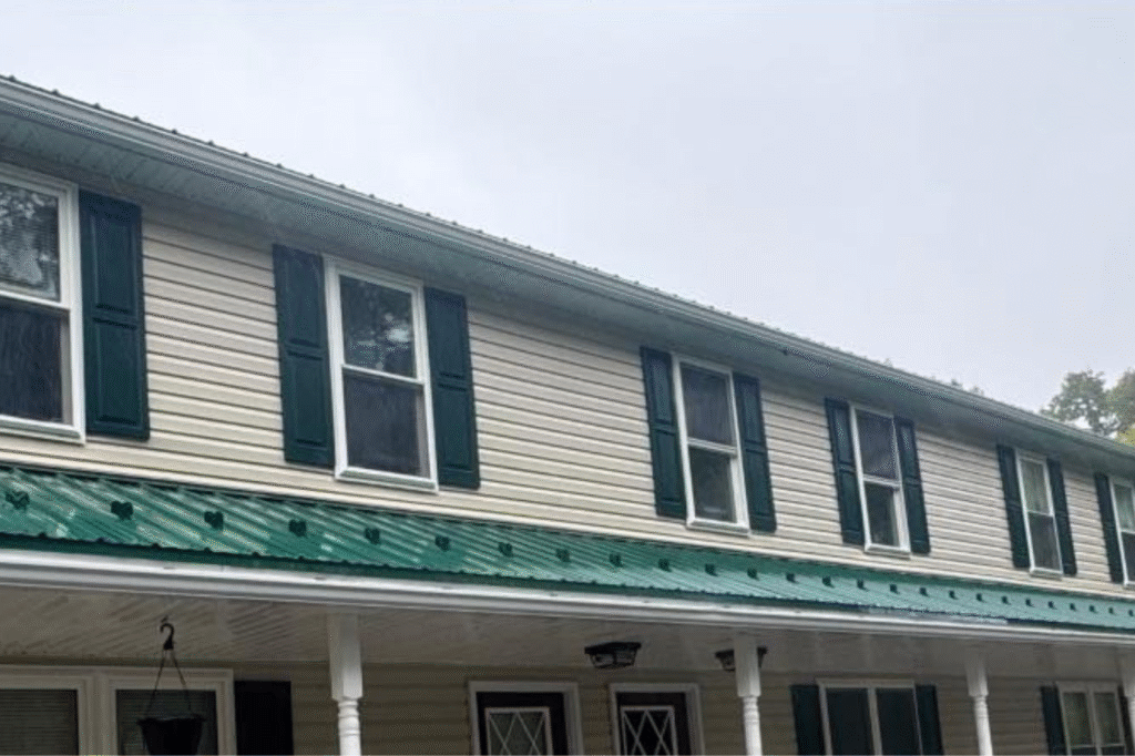 roof cleaning